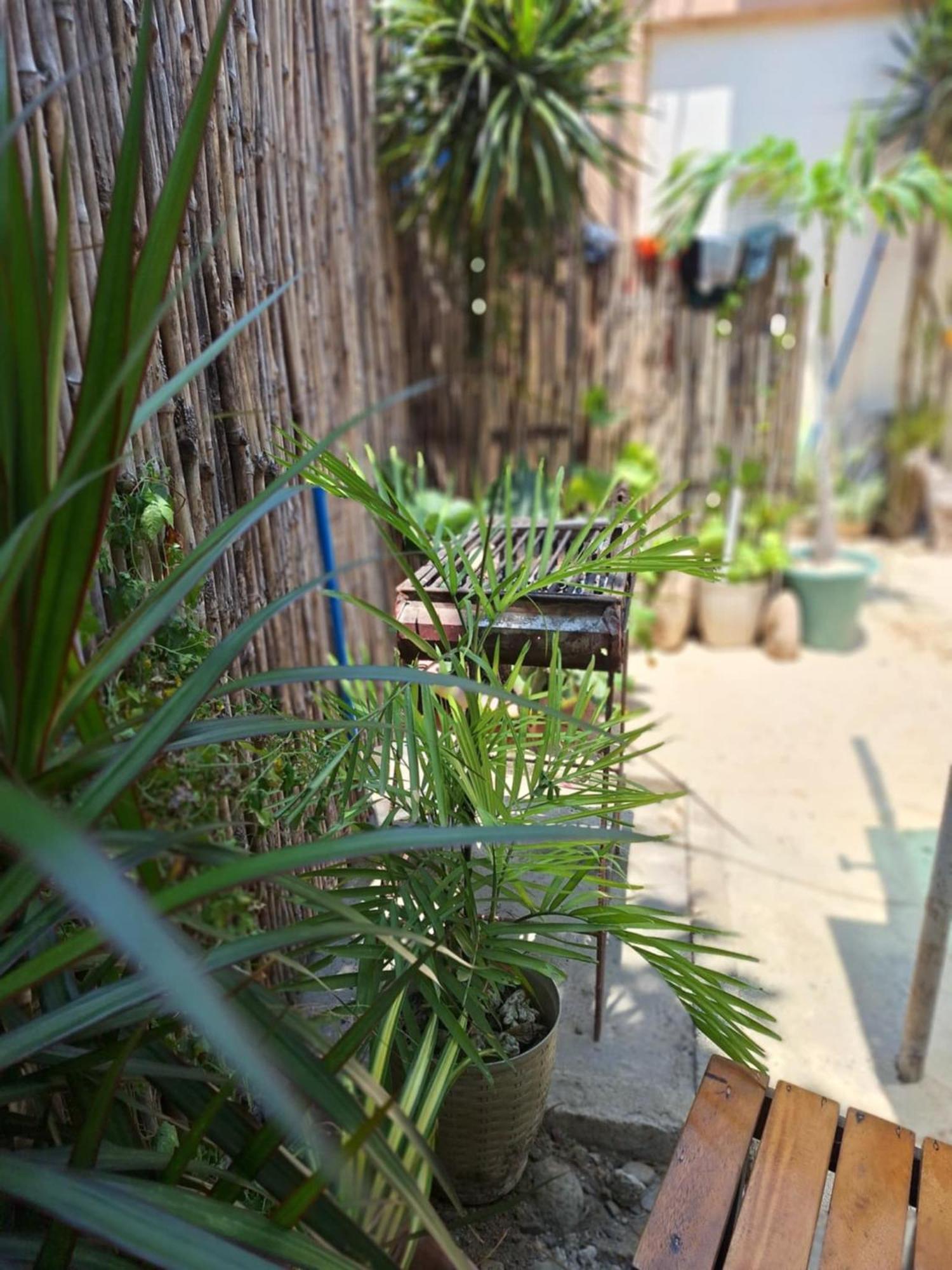 Pagudpud Rinnovati Exterior foto